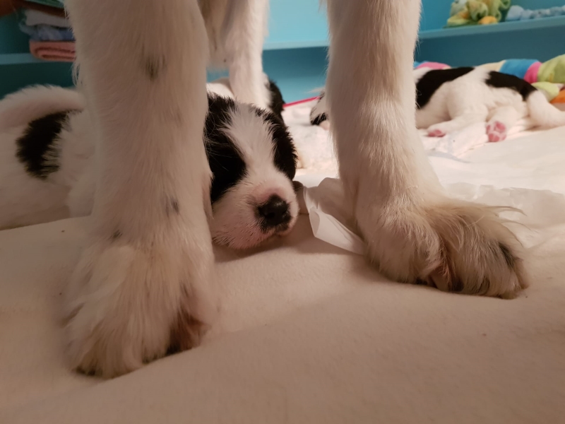versteckt bei Mami